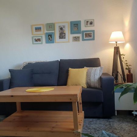 Bonito Y Coqueto Apartamento Κόρδοβα Εξωτερικό φωτογραφία