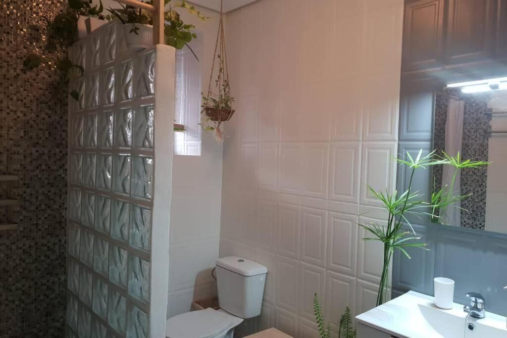 Bonito Y Coqueto Apartamento Κόρδοβα Εξωτερικό φωτογραφία