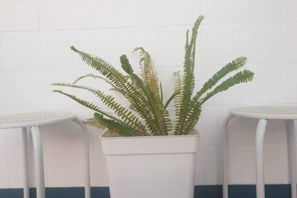 Bonito Y Coqueto Apartamento Κόρδοβα Εξωτερικό φωτογραφία