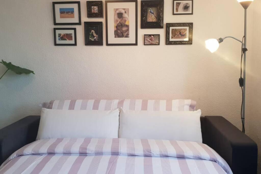 Bonito Y Coqueto Apartamento Κόρδοβα Εξωτερικό φωτογραφία