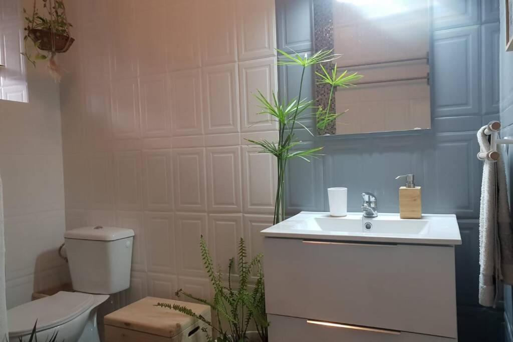 Bonito Y Coqueto Apartamento Κόρδοβα Εξωτερικό φωτογραφία